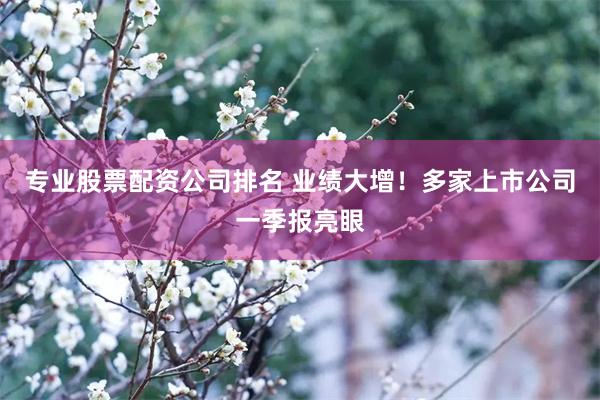 专业股票配资公司排名 业绩大增！多家上市公司一季报亮眼