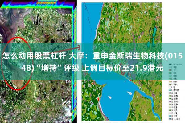 怎么动用股票杠杆 大摩：重申金斯瑞生物科技(01548)“增持”评级 上调目标价至21.9港元