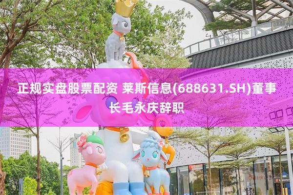 正规实盘股票配资 莱斯信息(688631.SH)董事长毛永庆辞职