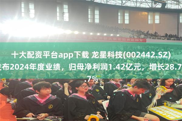 十大配资平台app下载 龙星科技(002442.SZ)发布2024年度业绩，归母净利润1.42亿元，增长28.7%