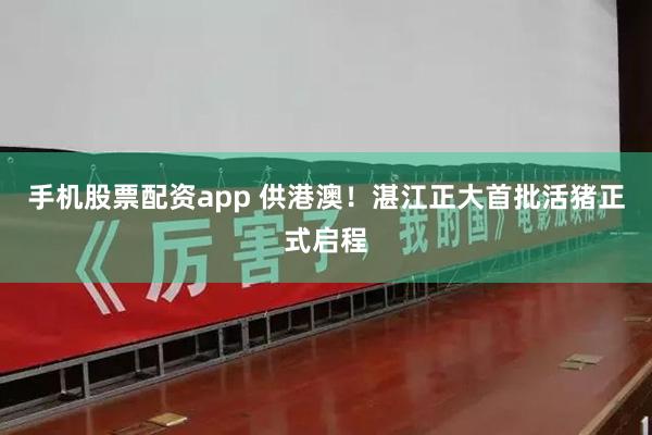 手机股票配资app 供港澳！湛江正大首批活猪正式启程