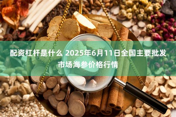 配资杠杆是什么 2025年6月11日全国主要批发市场海参价格行情