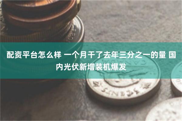 配资平台怎么样 一个月干了去年三分之一的量 国内光伏新增装机爆发