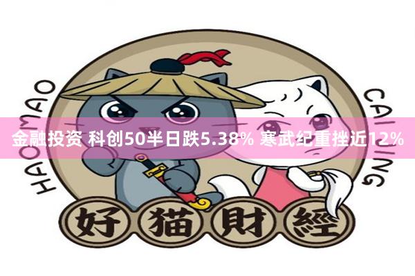 金融投资 科创50半日跌5.38% 寒武纪重挫近12%