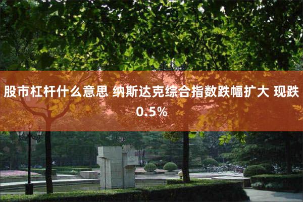 股市杠杆什么意思 纳斯达克综合指数跌幅扩大 现跌0.5%